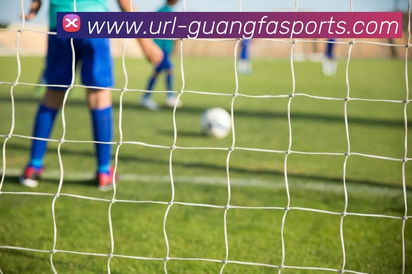 广发体育APP 高清赛事图